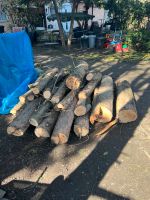 Stammholz Brennholz Holz Berlin - Hohenschönhausen Vorschau