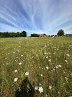 KROATIEN - Istrien, Baugrundstück 680 m2, ruhige Lage, Meer 10 km Bayern - Erding Vorschau
