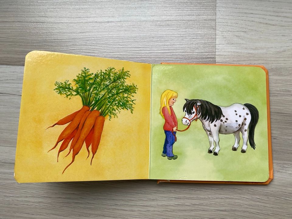 Happybuch, Mein Bauernhof, Buch, Kleinkinder in Leingarten