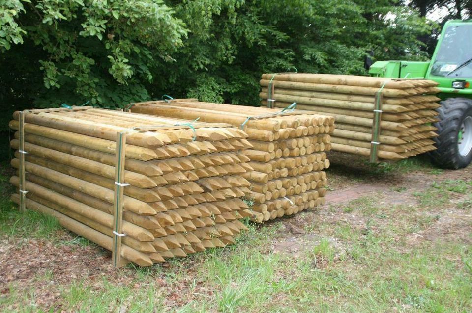 Zaunpfähle - Baumpfähle - Holzpfähle - 10 x 250 cm - imprägniert in Wagenfeld