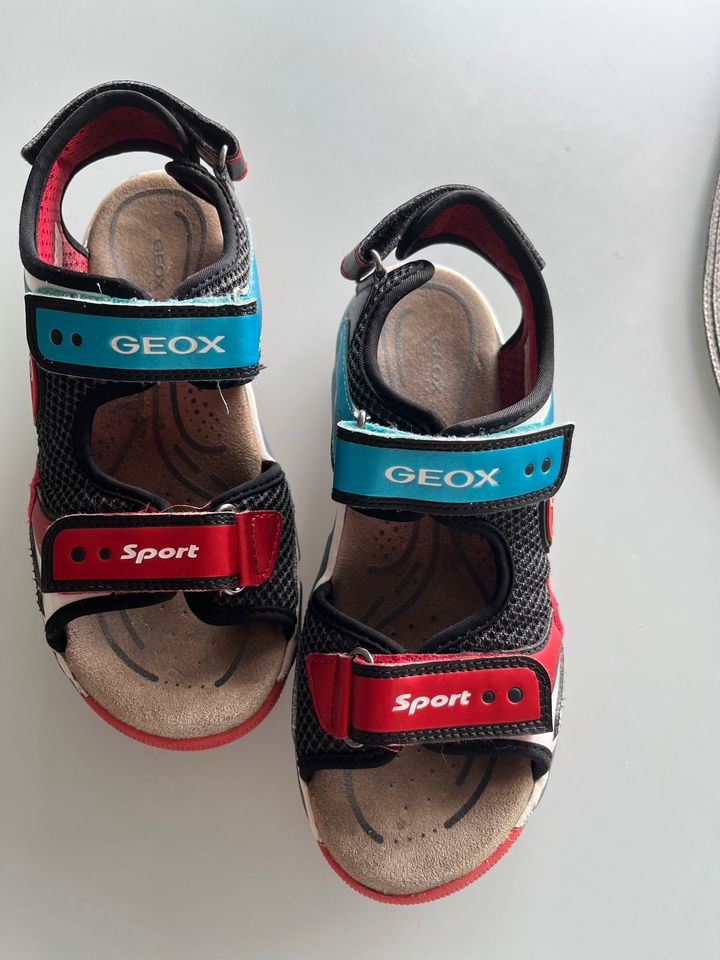 Geox Sandalen Super Mario in Gr 35 in Kelkheim