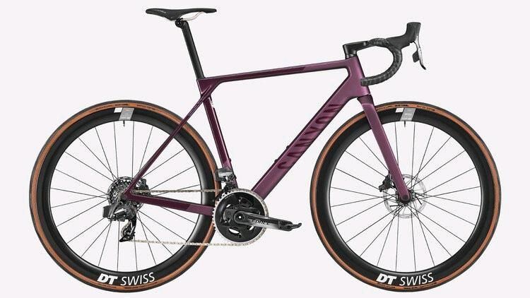 [SUCHE] Canyon Ultimate CF SLX Iced Berry Größe L in Berlin