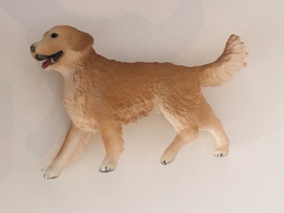 Golden Retriever Hündin Schleich 16395 in Dresden