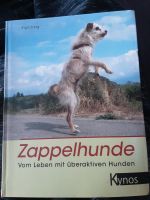 Zappelhunde Nordrhein-Westfalen - Oberhausen Vorschau