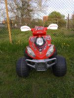 Kinderquad/elektrisch Sachsen-Anhalt - Halle Vorschau