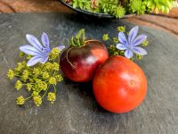 Mar Azul - aromatische spanische Fleischtomate RARITÄT Bayern - Waigolshausen Vorschau