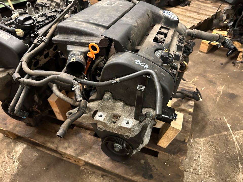 Vw Golf 4 1.4 16v BCA Motor mit Anbauteilen in Langwedel