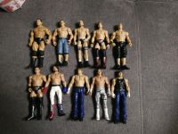 Wwe Figuren 5€ pro Figur plus Versand! Top Zustand! Bayern - Burglengenfeld Vorschau