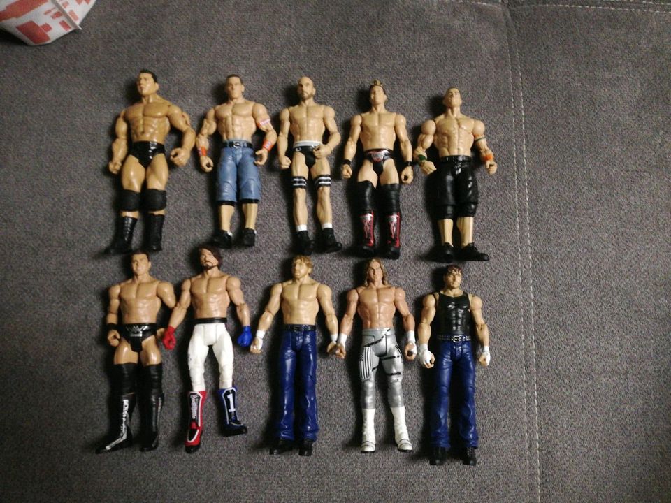 Wwe Figuren 5€ pro Figur plus Versand! Top Zustand! in Burglengenfeld