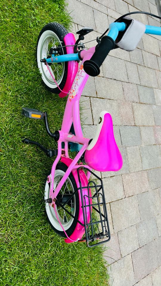 Lernfahrrad , kleines Kinder Fahrrad, 12“ Zoll in Großpösna