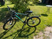 D4-X Décathlon Trekking-Bike 26 Zoll Baden-Württemberg - Auenwald Vorschau