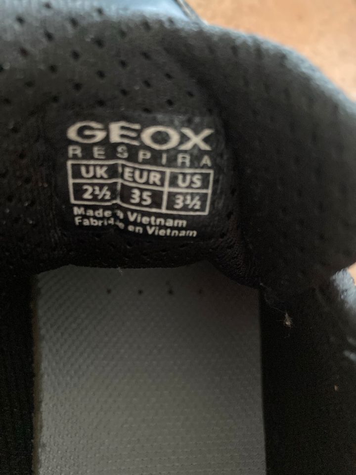 Schuhe Sneaker Geox NEUwertig in Bergfelde