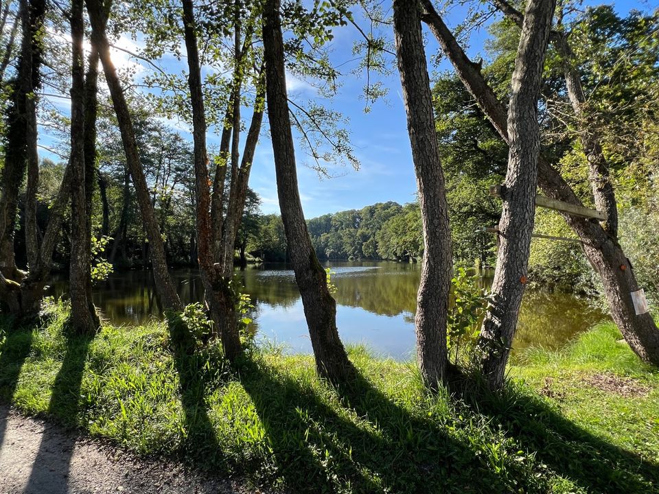 Traumhaftes Grundstück mit Altbestand am See in idyllischer Lage in Ebersberg