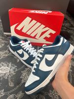 Nike dunk valerian blue Sachsen - Coswig Vorschau