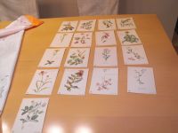 Arzneipflanzen Postkarten aus der Sammlung Dr. Willmar Schwabe Bayern - Rehling Vorschau