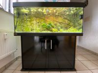 Aquarium mit Unterschrank von Eheim + Außenheizer + Außenfilter Nordrhein-Westfalen - Kaarst Vorschau