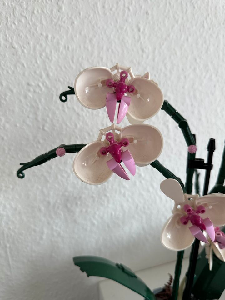 Lego Orchidee in Wipperfürth