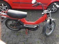 Mofa, Moped Rheinland-Pfalz - Herdorf Vorschau