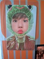 Baekhyun Frog Photocard Popular Rare Kpop Nordrhein-Westfalen - Herten Vorschau