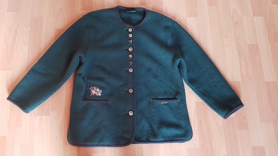 Trachtenjacke Geiger Größe 40 grün tolle Details neuwertig in  Baden-Württemberg - Baiersbronn | eBay Kleinanzeigen ist jetzt Kleinanzeigen