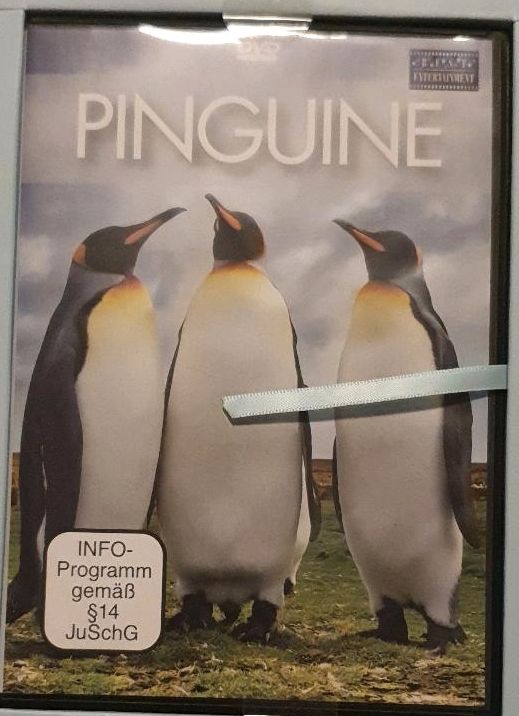 Pinguine, Lebensraum, Nahrung, Verhalten in Lübeck