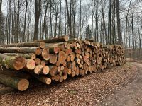 Stammholz Buche Bayern - Oberhausen a.d. Donau Vorschau