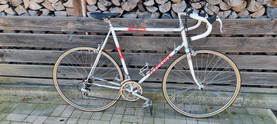 Peugeot Tourmalet Rennrad Rh 60cm 12 Gang in Düsseldorf