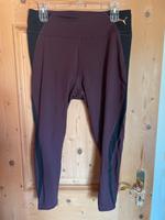 Sporthose von Puma Fitness in Braun Gr. XL NEU Bayern - Nußdorf am Inn Vorschau