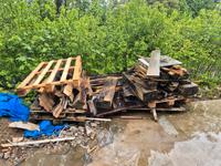 Brennholz zu verschenken Baden-Württemberg - Ebringen Vorschau