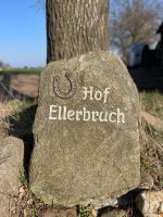 Boxen frei in Eyendorf Pferde Ponys Niedersachsen - Salzhausen Vorschau