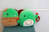 2x Squishmallows Kakteen Shadi + Marcellus Valentinstag Paar Dresden - Blasewitz Vorschau