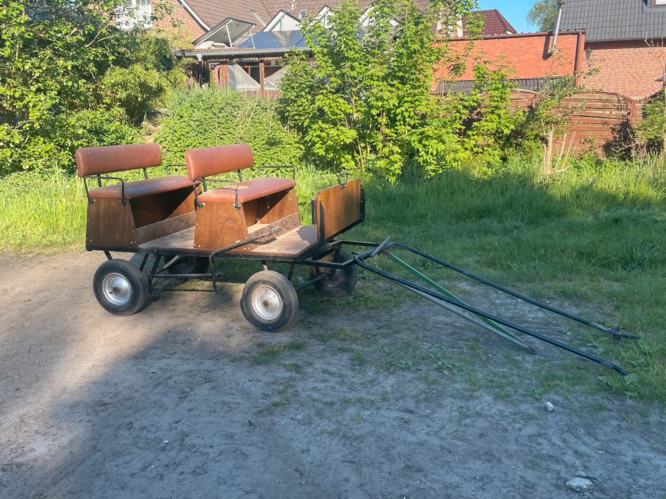 Shetty-Kutsche, Typ Immenhof zu verkaufen in Hamfelde, Kr Hzgt Lauenburg