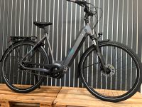 BBF Arosa E-Bike, 28 Zoll, NEU Leasing möglich Niedersachsen - Steinkirchen Vorschau