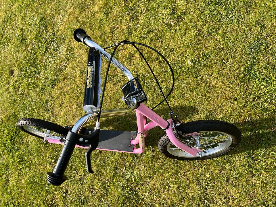 Tretroller Kinder Scooter Roller in Hambühren