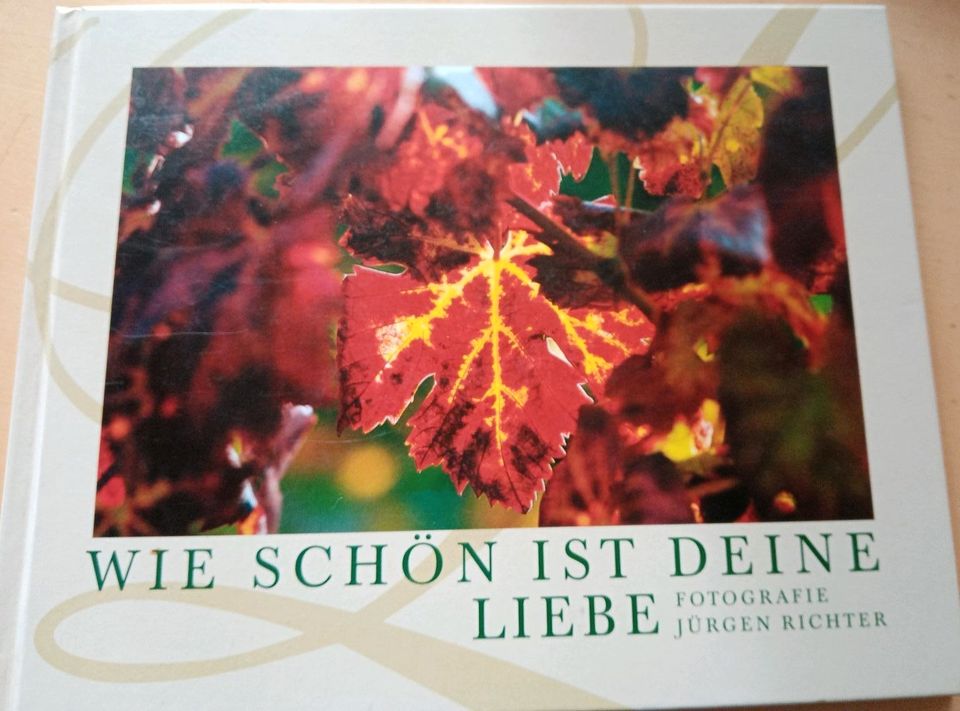 Zur Hochzeit, wünsche zur Hochzeit, wie schön ist die Liebe, Buch in Parsberg