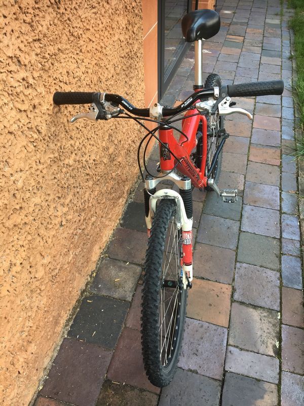 Mountainbike Steppenwolf 26 Zoll in Feucht