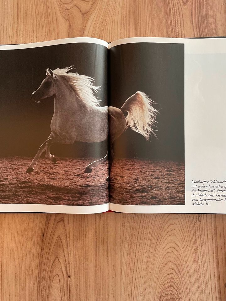 Rassepferde Pferdebuch Fotobuch in Zossen