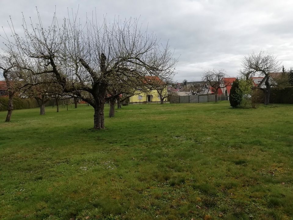 2 nebeneinander liegende Grundstücke mit jeweils ca. 880 qm ohne Bauzwang in der Stadt Langenzenn! in Langenzenn