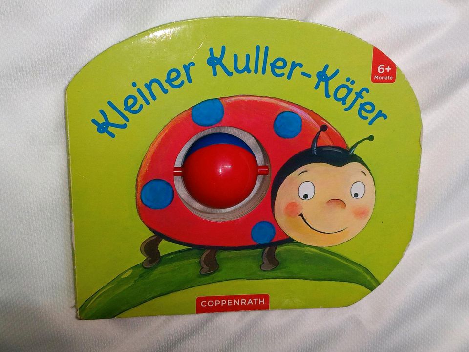 Kinder Buch kleiner Kuller Käfer ab 6m+ in Scheeßel