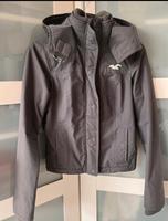 Hollister Jacke Damen Hessen - Hofgeismar Vorschau