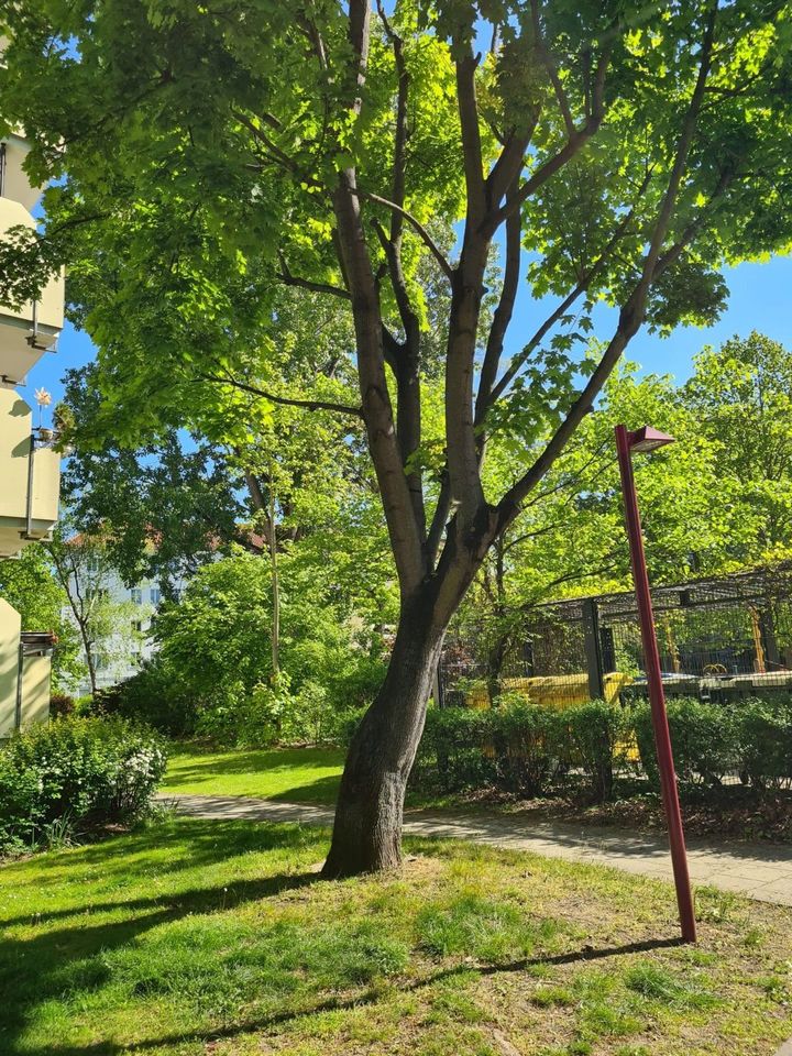 Zentrale, ruhige 2 Zimmerwohnung in Berlin Friedrichshain in Berlin