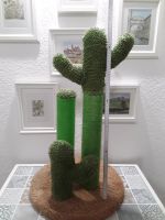 Kaktus Kratzbaum Thüringen - Erfurt Vorschau