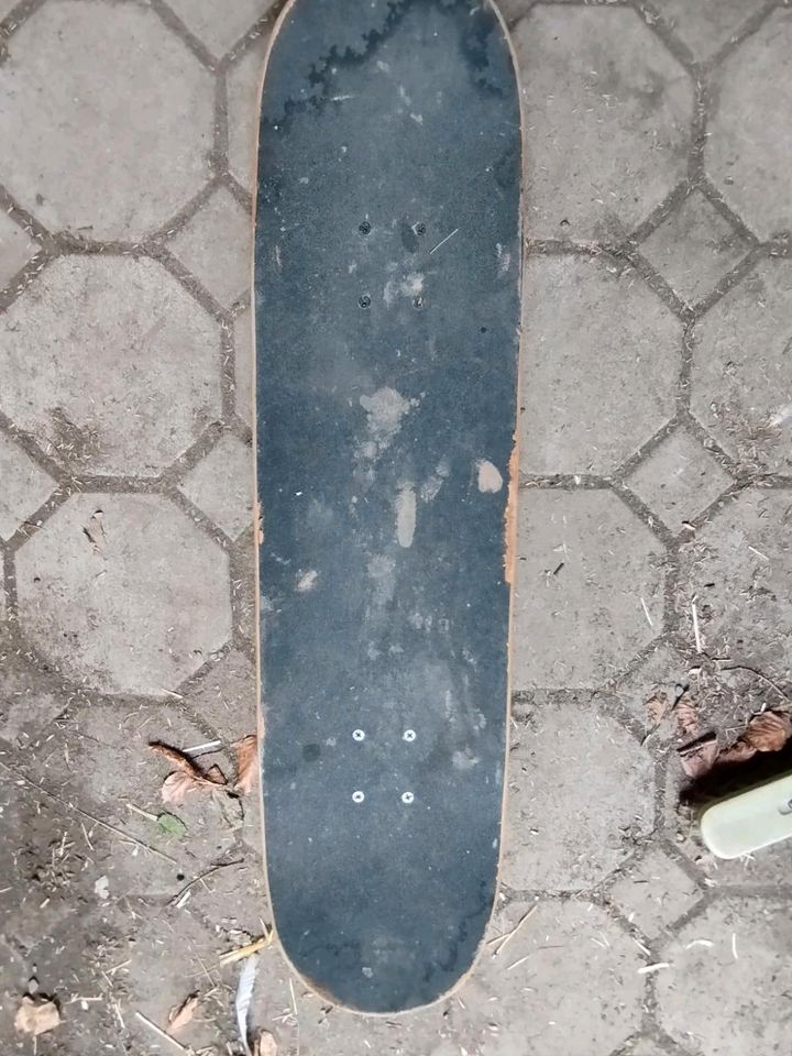 Skateboard Waveboard Scooter in Vöhringen