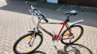 Giant Fahrrad Herren Mountainbike Sachsen - Treuen Vorschau