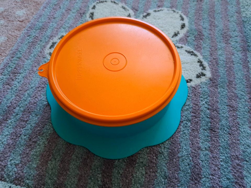 Tupperware Babyschale in Minden