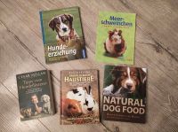 Bücher für Hunde, Hasen und Meerschweinchen Hessen - Künzell Vorschau