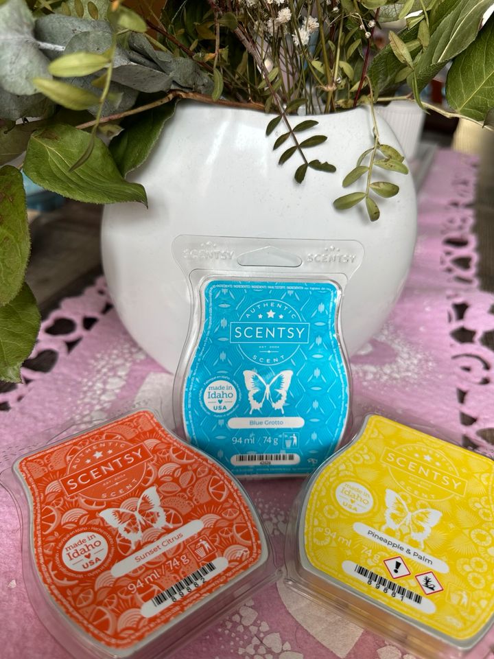 Verschiedene Scentsy Bars stark reduziert in Quedlinburg