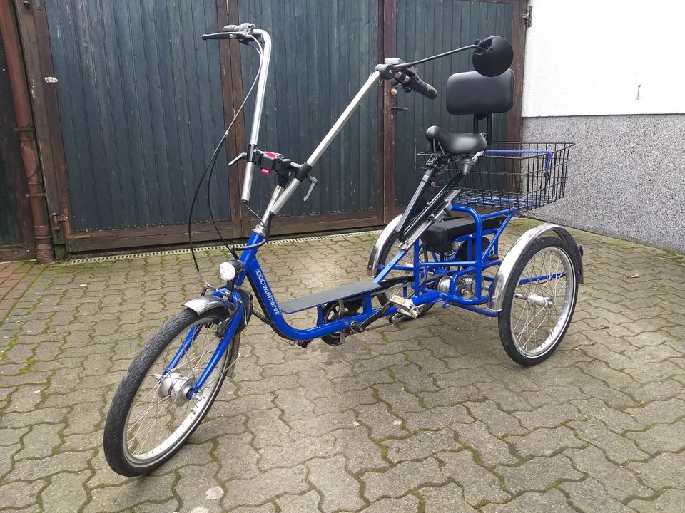 Dreirad Erwachsene Elektro E-Bike Wulfhorst Lucky S 20'' in Gleichen