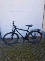 Herrenfahrrad Steppenwolf Sachsen - Chemnitz Vorschau