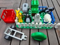 LEGO DUPLO Zootiere Zaun Baum Eisbär Giraffe Elefant Pinguin Orca Schleswig-Holstein - Glasau Vorschau